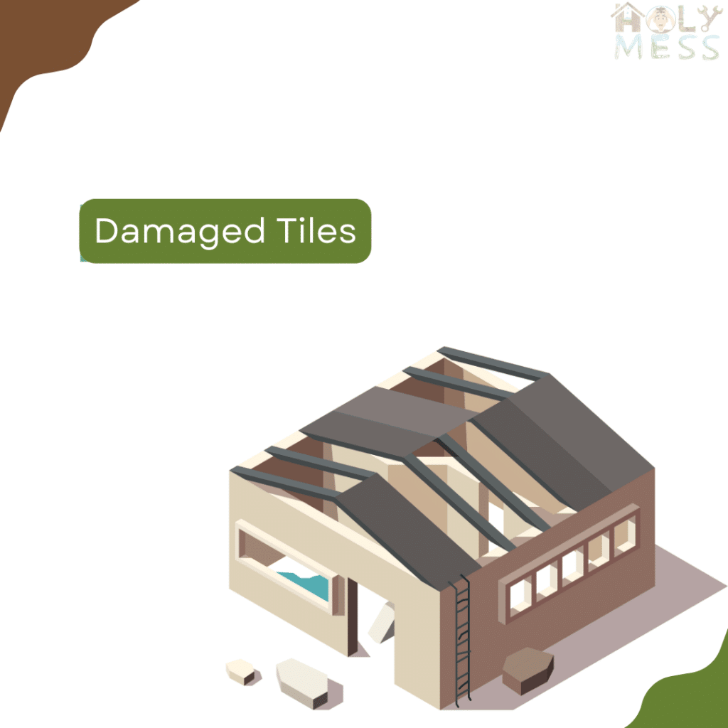 damaged tiles holymess repairs clipart