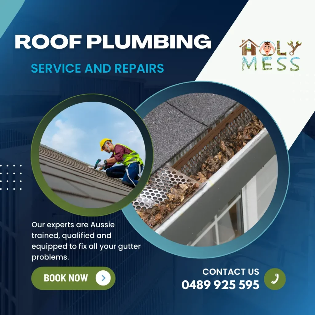 roof plumbing service and repairs holymess repairs