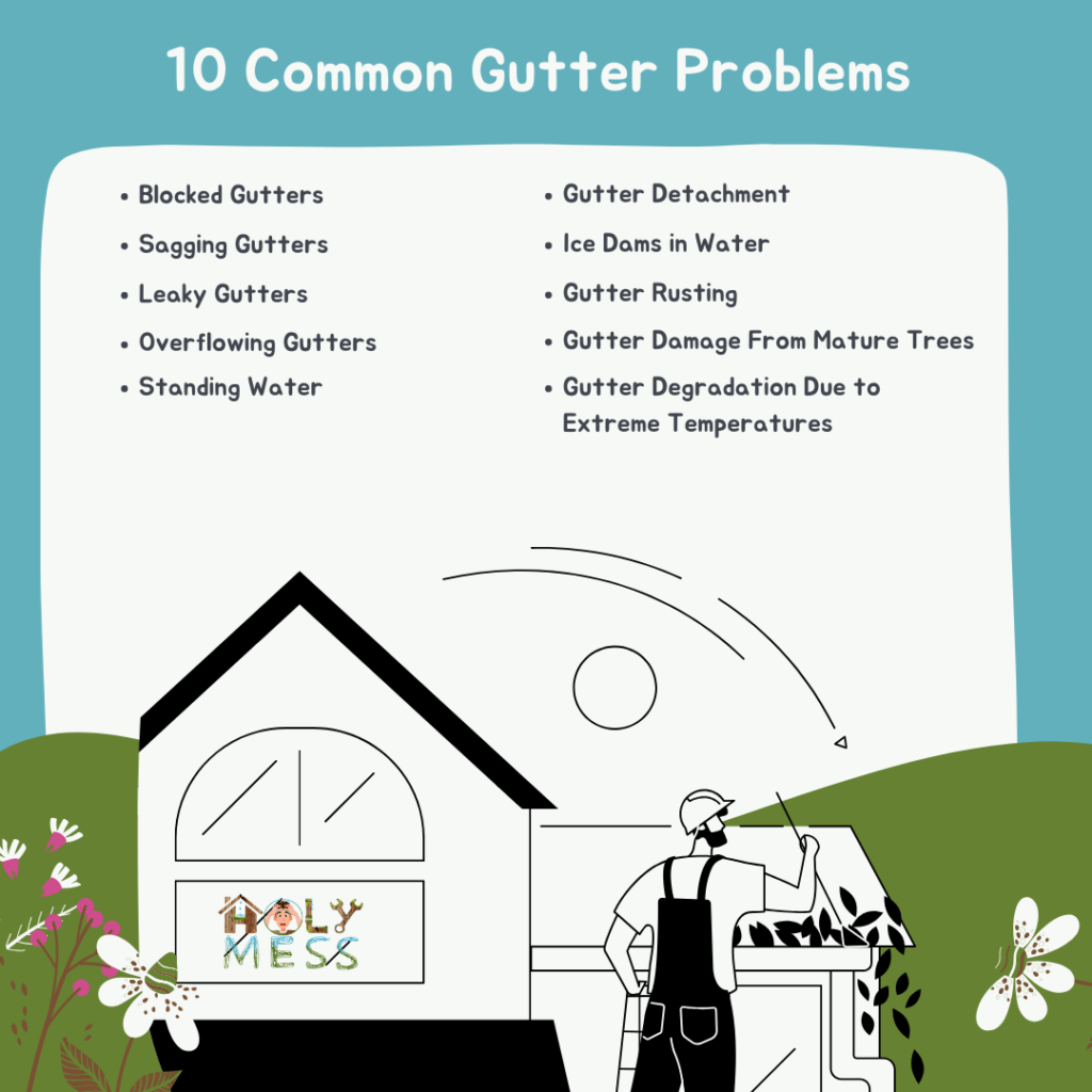 Common Gutter Problems infographic holymess repairs