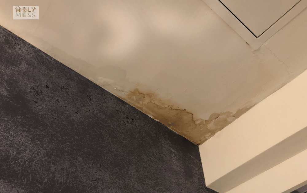damp ceiling area