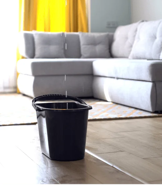 bucket holding water from roof leak